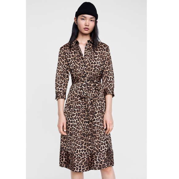 Instagram favorite Animal print dress - Picture 2 of 7